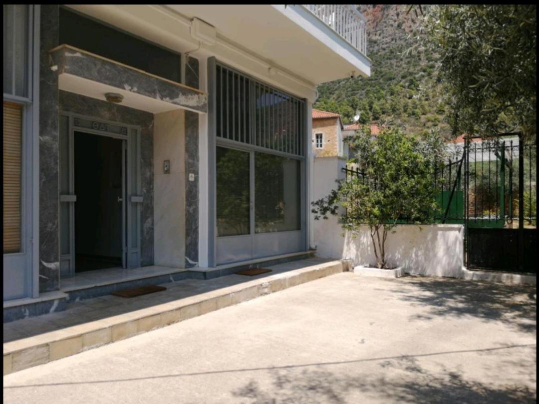 דירות לאונידיון New Garden'S House מראה חיצוני תמונה